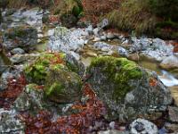 Große bemooste Felsblöcke am Bachlauf